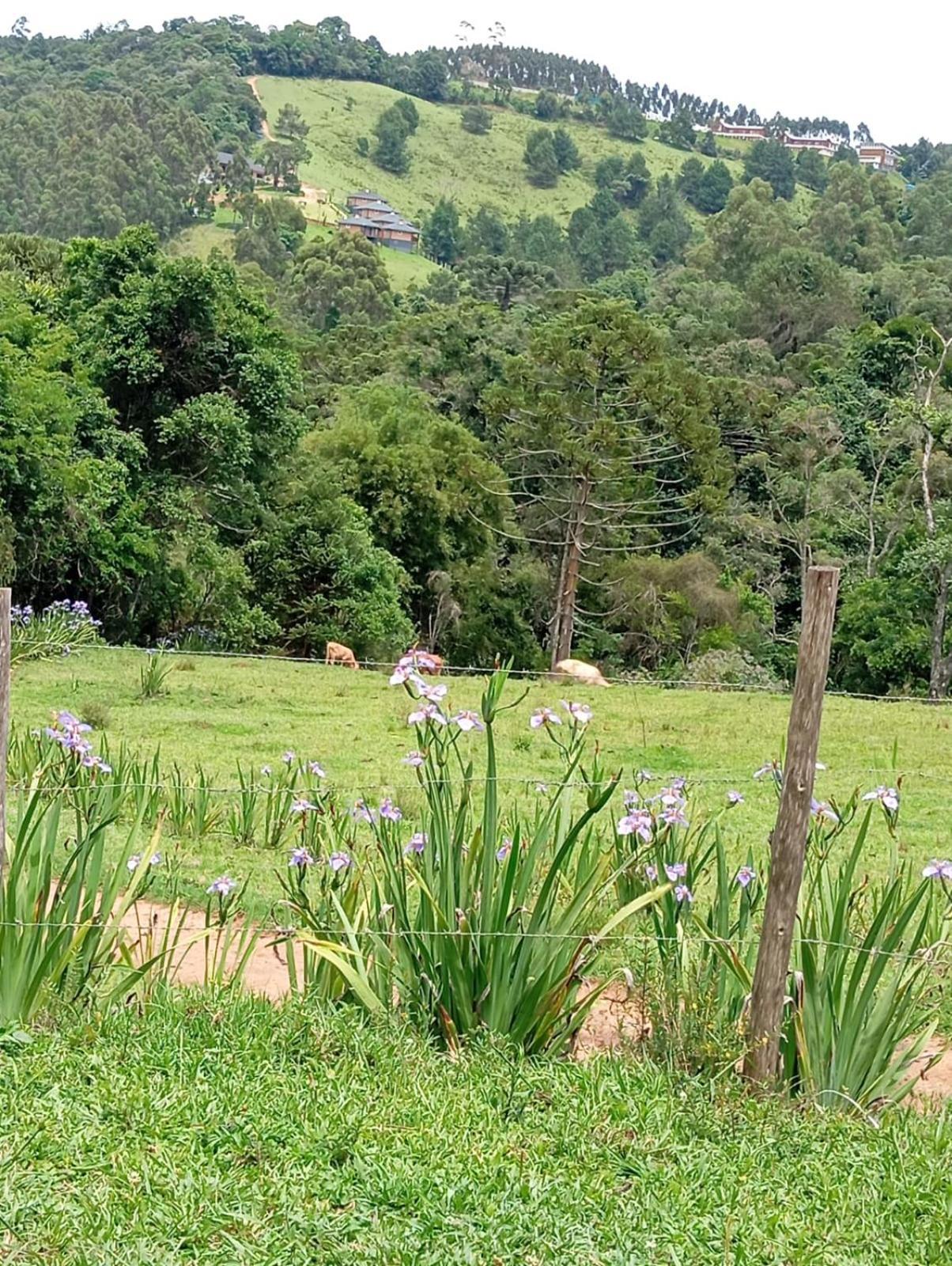 Chalé Fazenda Refugio do Vale Monte Verde  Exterior foto